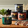 נר ריחני Village Candle Hearthside Pine - סדרת Gentlemen’s Collection