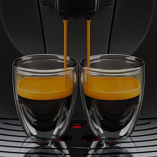 ����� ��� �������� ����� �����  Gaggia Besana