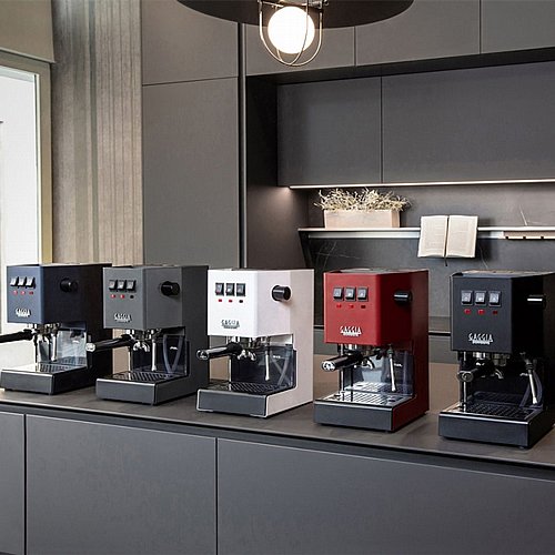 ����� ��� ����� Gaggia Classic E24 - ����