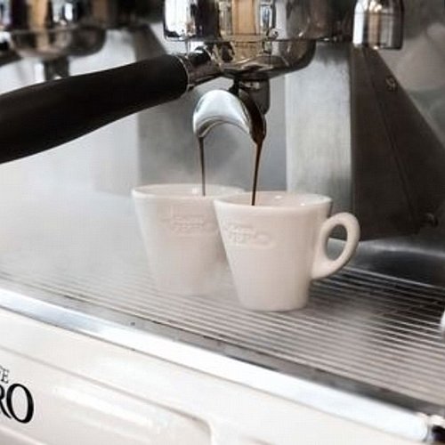 �� 6 ����� ������ Tulip �� ������ 70 ��� - CAFFE VERO