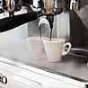 �� 6 ����� ������ Tulip �� ������ 70 ��� - CAFFE VERO